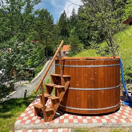 Casa De Vacanta Chesa Borsec Extérieur photo