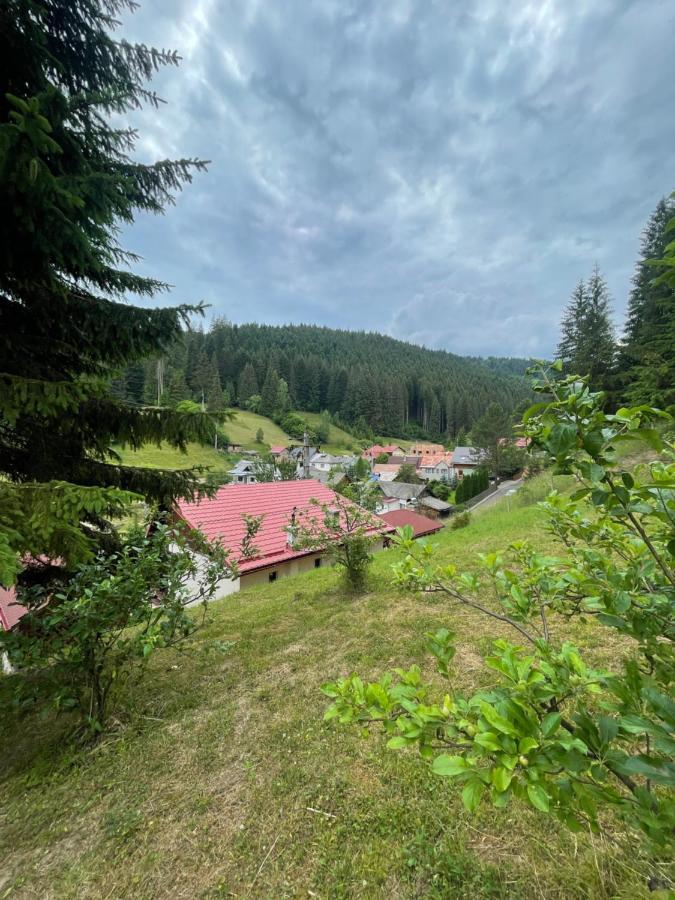 Casa De Vacanta Chesa
